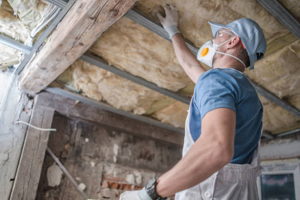 Best Attic Insulation Near Me  in Greenville, NY