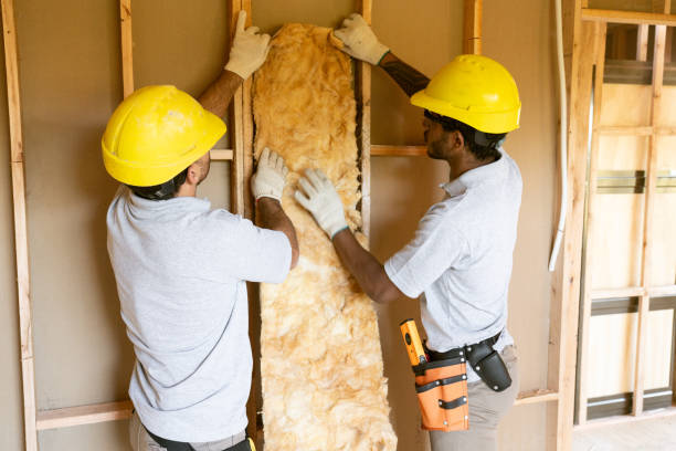 Best Spray Foam Insulation  in Greenville, NY