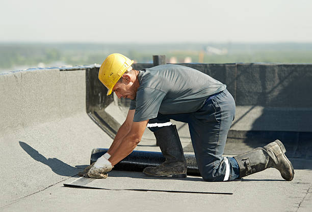 Best Best Insulation Companies  in Greenville, NY