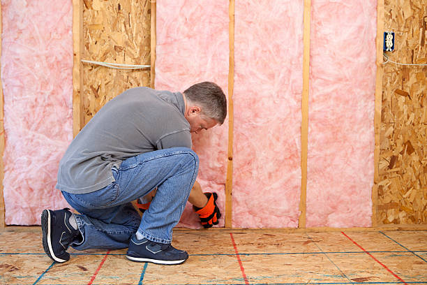 Best Insulation for New Construction  in Greenville, NY
