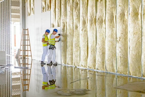 Best Attic Insulation Installation  in Greenville, NY